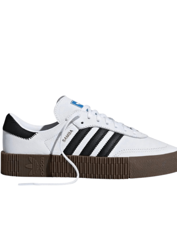 Sambarose “Cloud White”